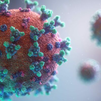 New visualisation of the Covid-19 virus