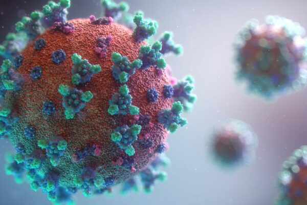 New visualisation of the Covid-19 virus